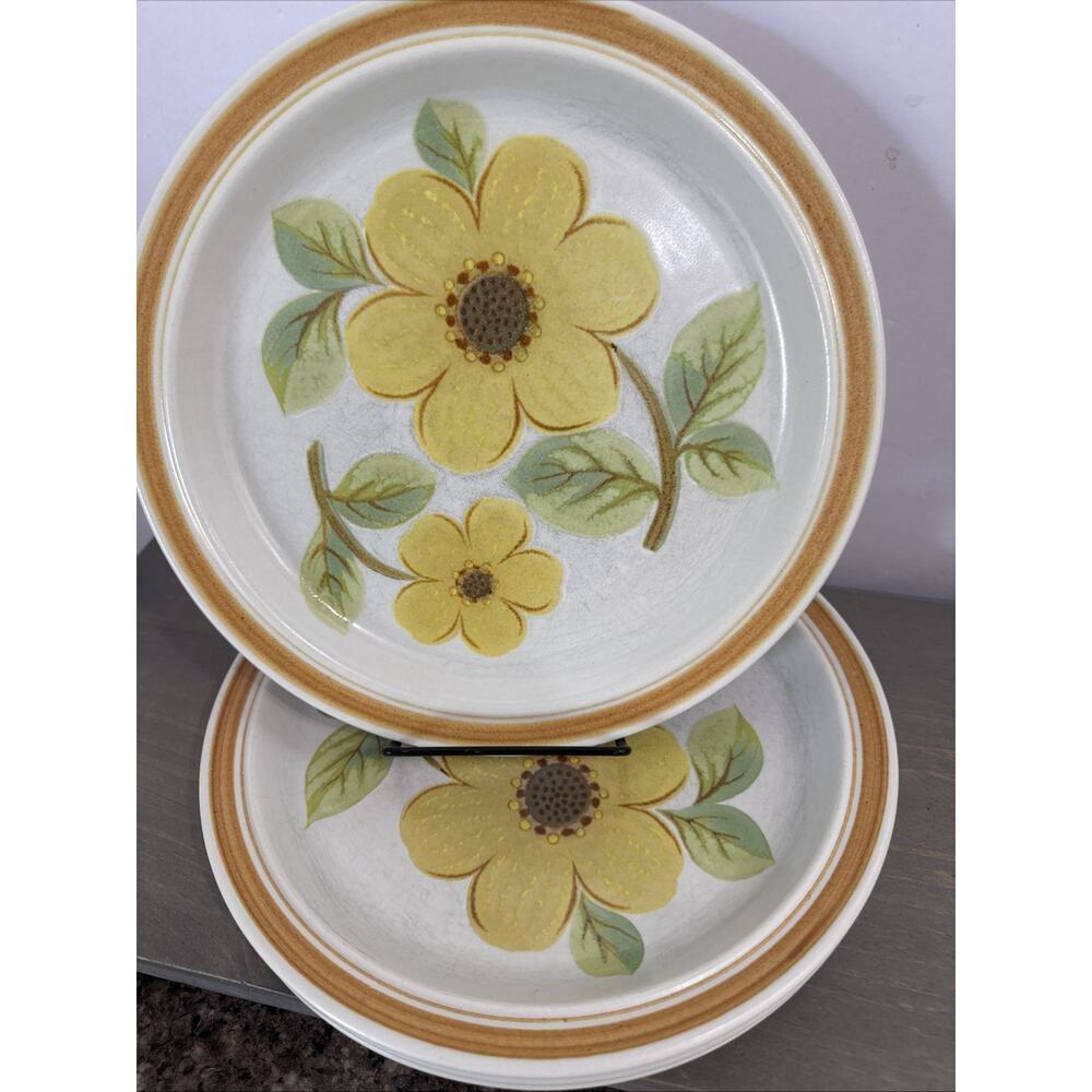 Royal Doulton ‘Summer Days’ Lambeth Stoneware Dinner Plate Set Of 4 England 1973